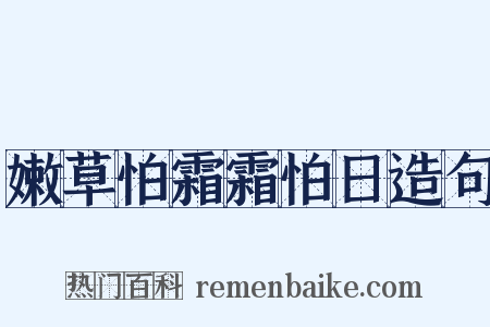 嫩草怕霜霜怕日造句是什么意思的图片